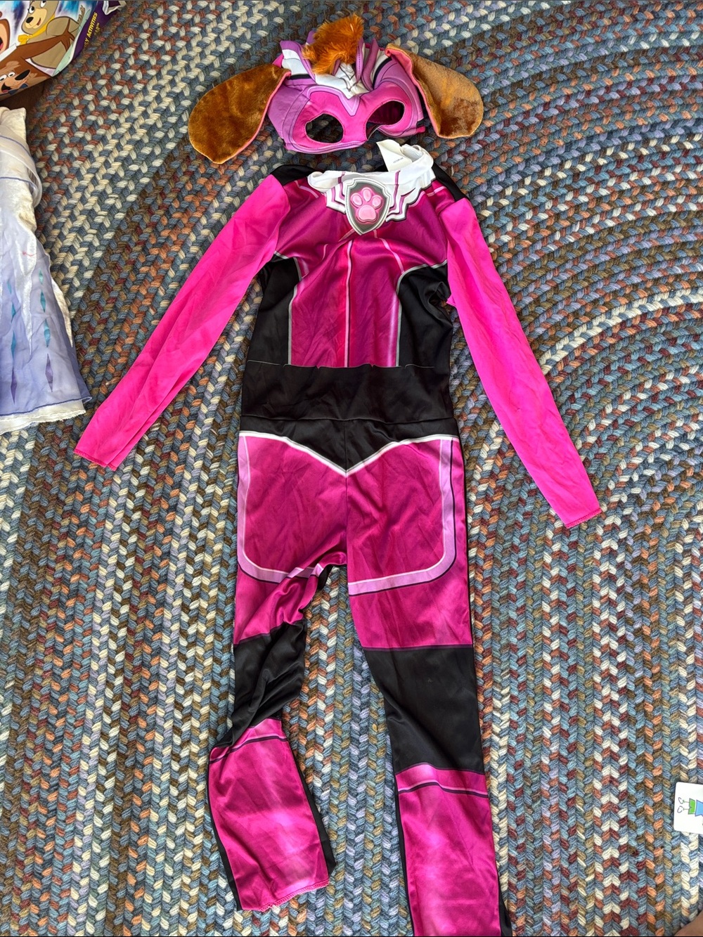 Paw Patrol Skye Costume